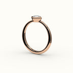 Compass Set Princess Cut Bezel Ring Setting