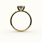 Compass Set Princess Cut Solitaire Ring Setting