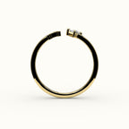 Anillo de diamantes y inicial de corte princesa con brújula