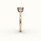 Princess Cut Three-Stone Setting with Vertical Baguettes