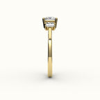 Princess Cut Three-Stone Setting with Vertical Baguettes